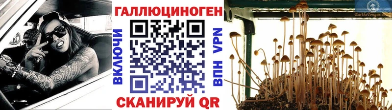 Галлюциногенные грибы GOLDEN TEACHER  OMG зеркало  Киренск 